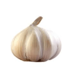 Knoblauch